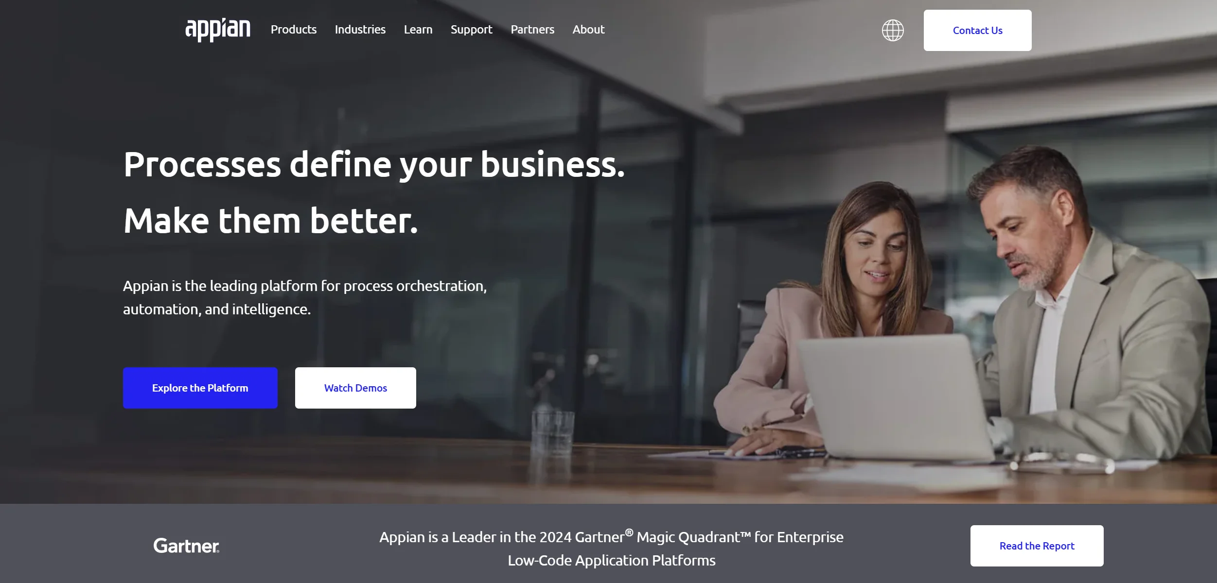 Appian manual_2 screenshot