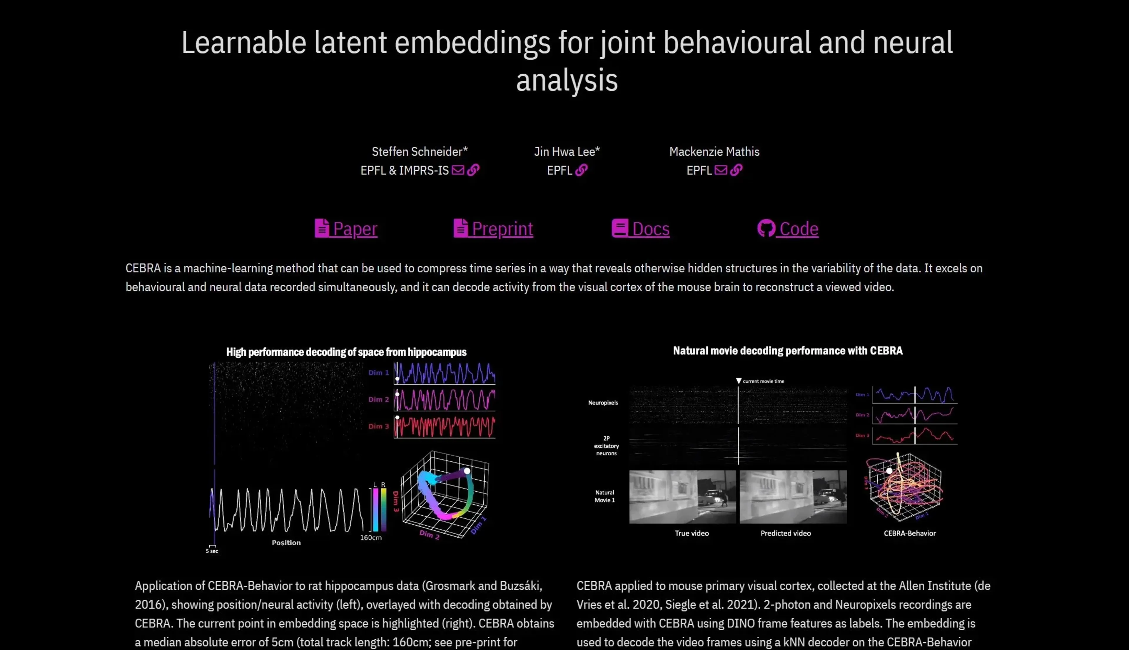 Image related to Cebra, an AI tool for conducting and organizing research.
