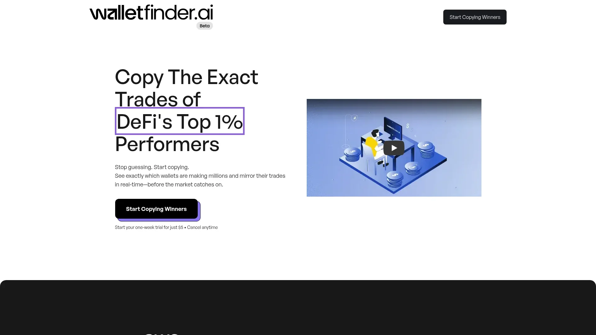 WalletFinder.ai manual_2 screenshot