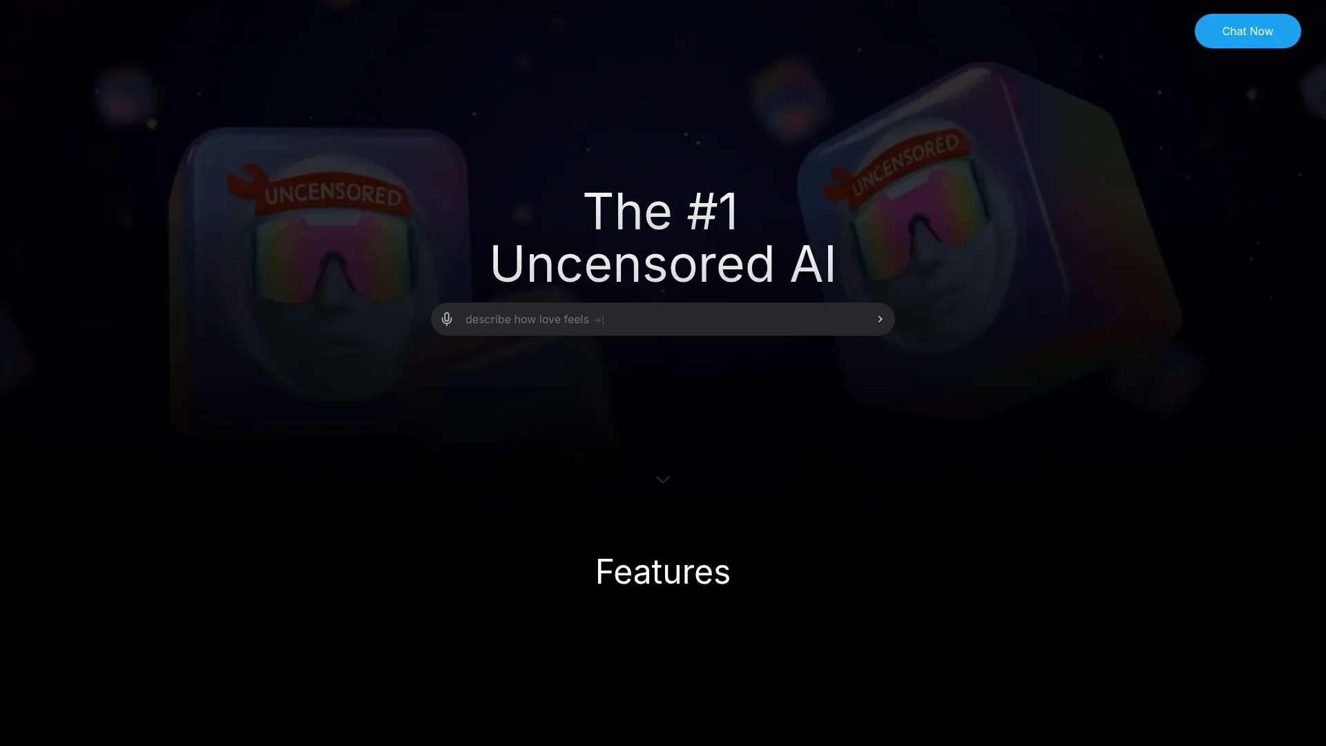 Uncensored.com manual_2 screenshot