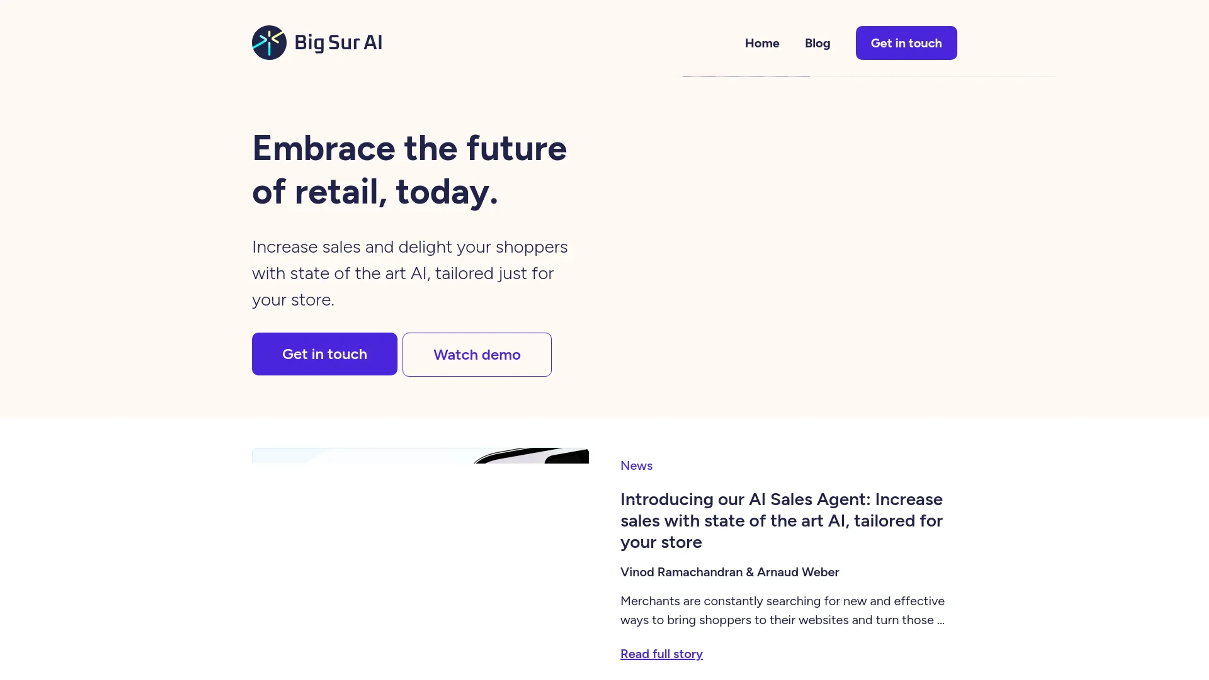 Image related to Big Sur AI, an AI tool for enhancing online store management and sales.