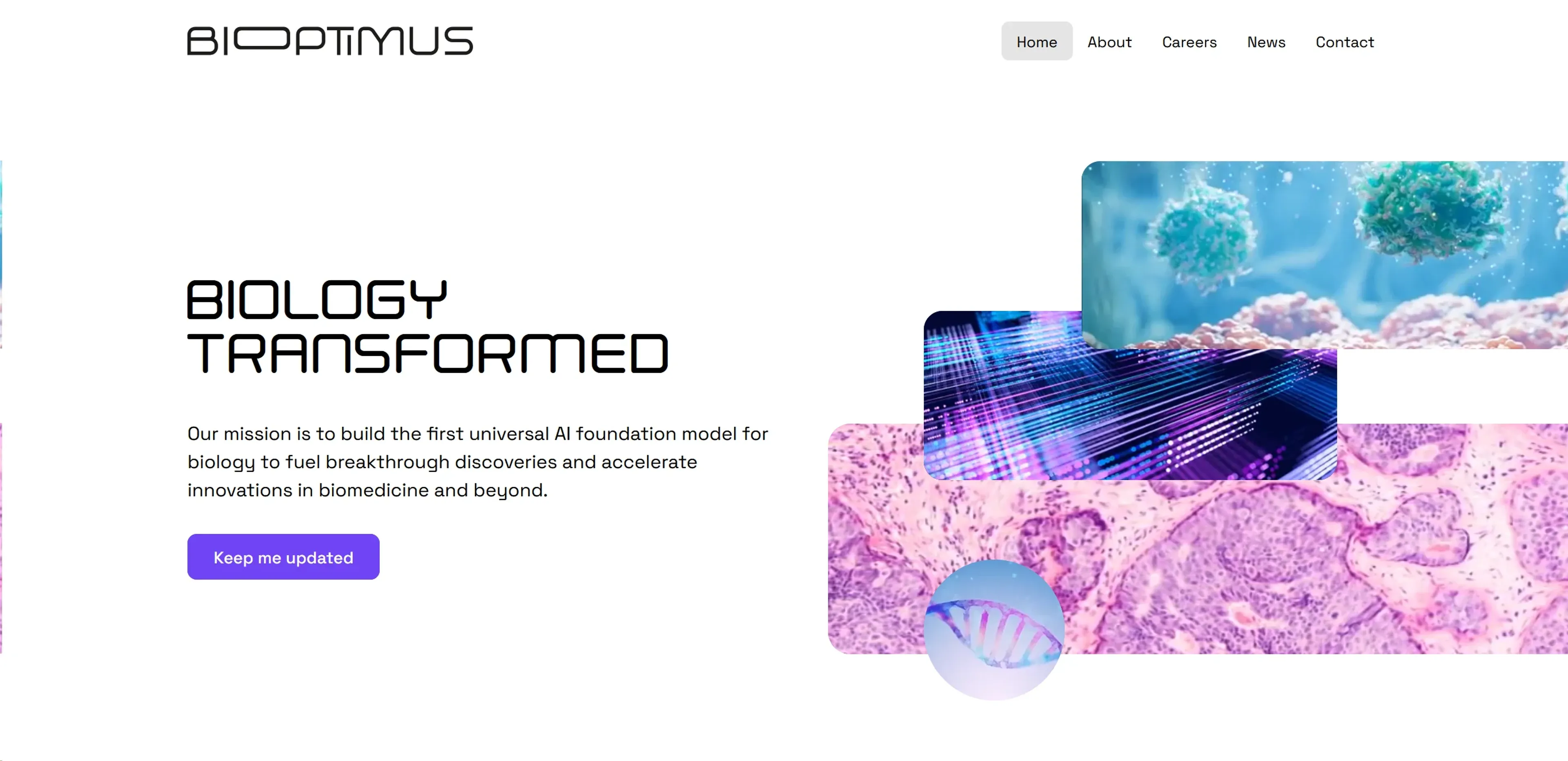 Image related to Bioptimus, an AI tool for conducting and organizing research.