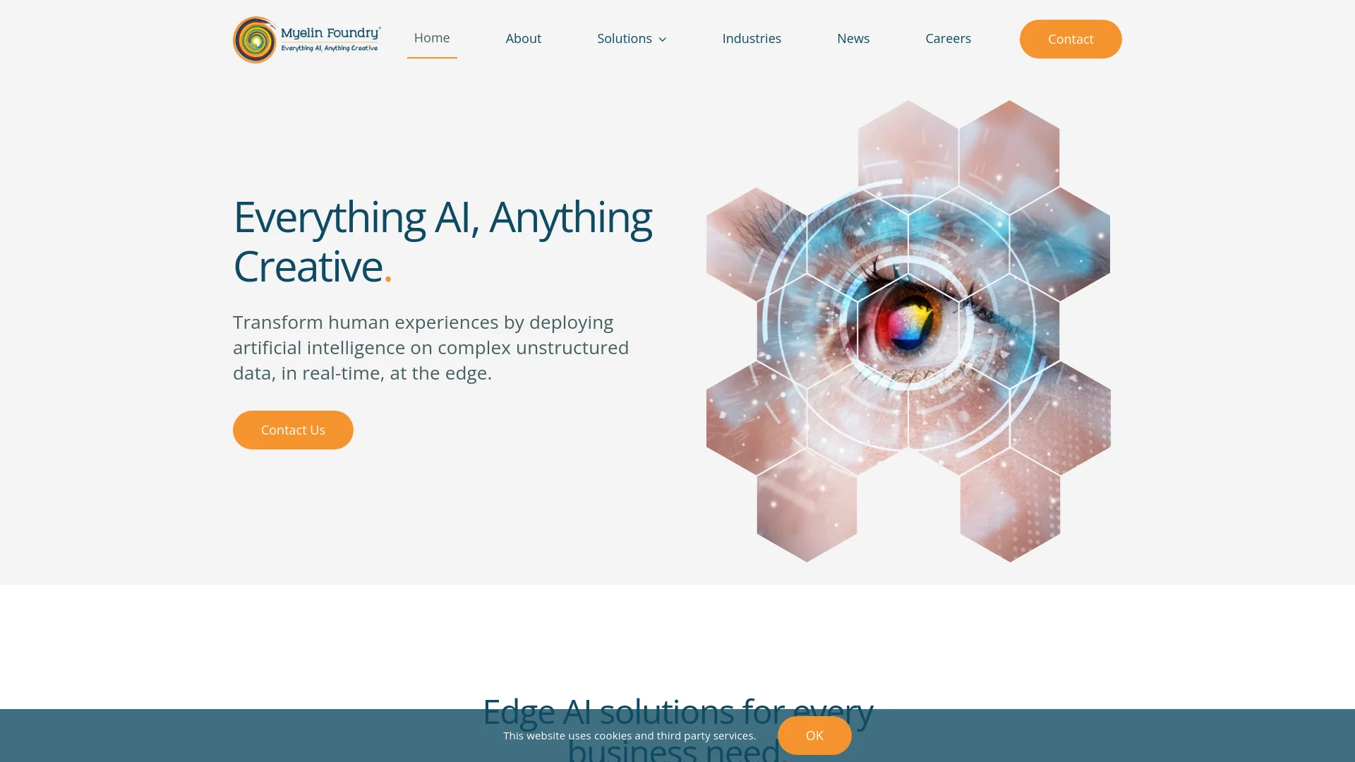 Myelin Foundry manual_2 screenshot