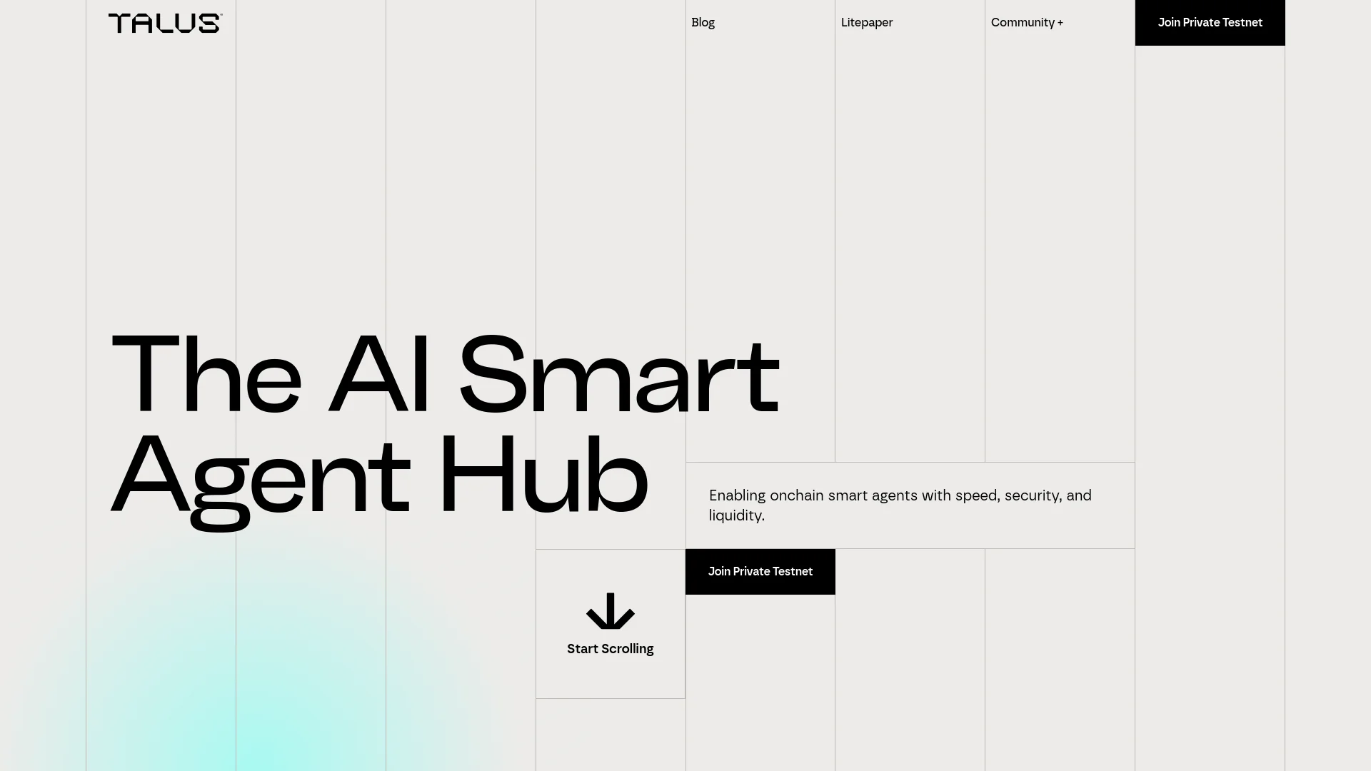 Talus Network manual_2 screenshot