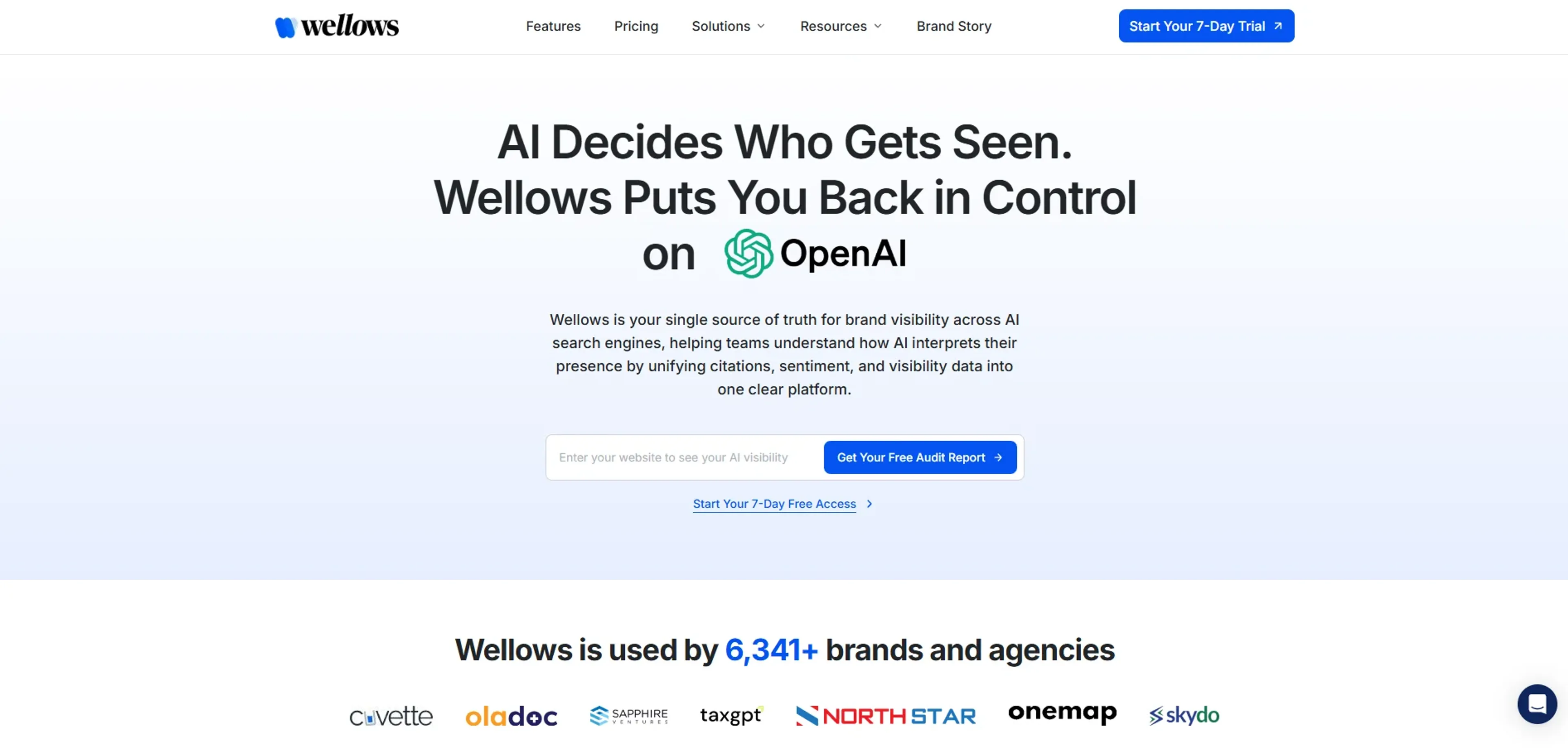 Image related to Wellows, an AI tool for improving search engine optimization.