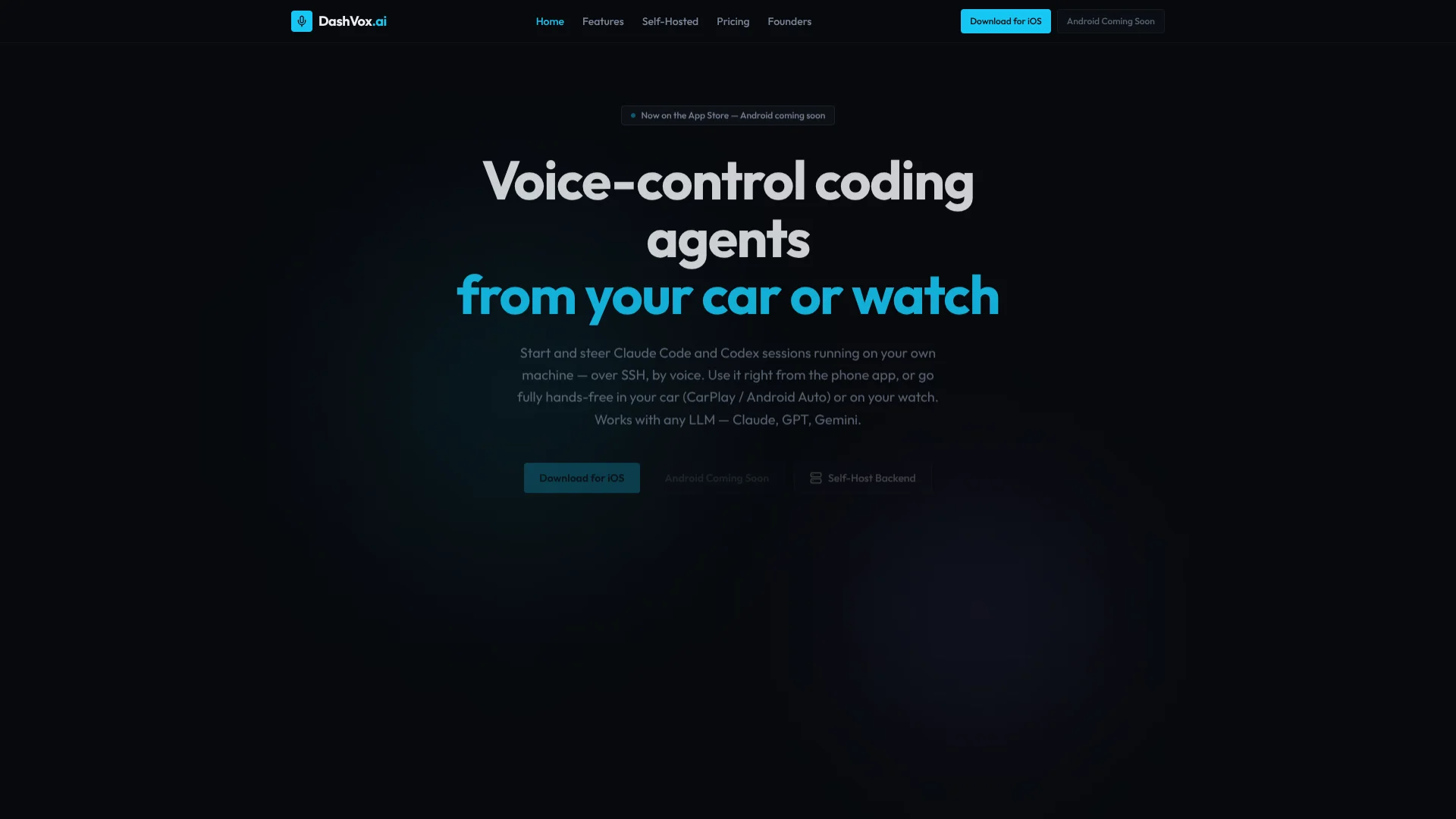 DashVox manual_2 screenshot