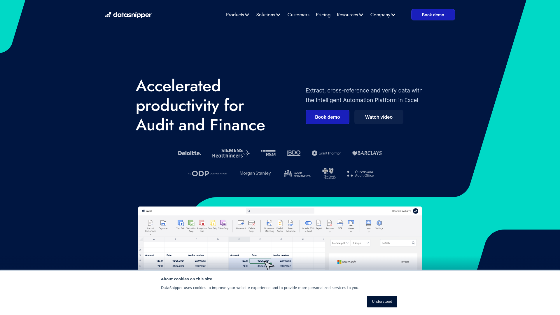 DataSnipper featured