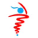 Danswer logo
