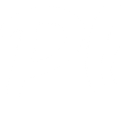 Playo logo