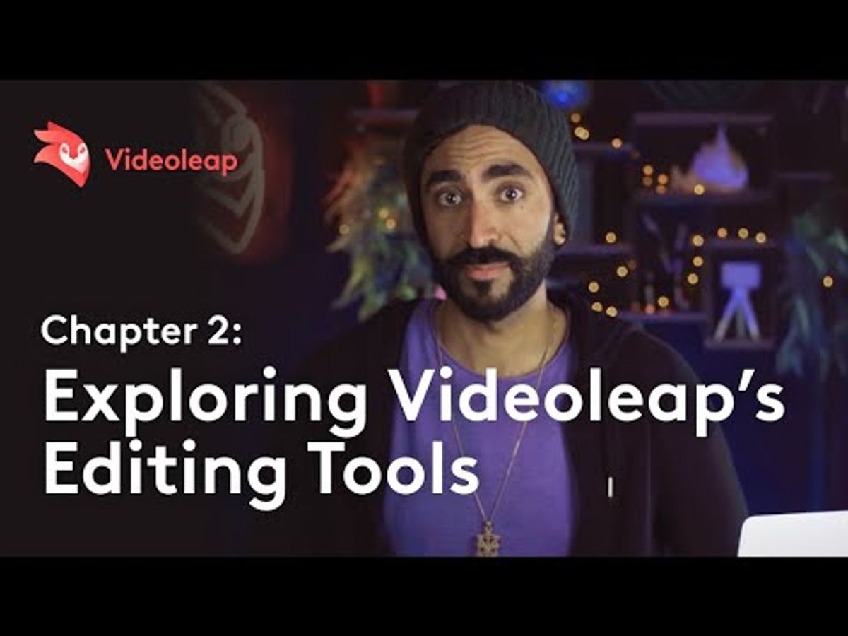 Overview of Videoleap Tools and Features
