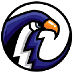 Thunderbirds logo