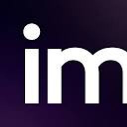 Immersity AI logo